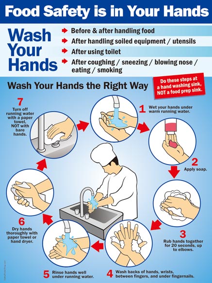 Food Safety is in Your Hands