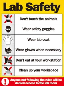Lab Safety