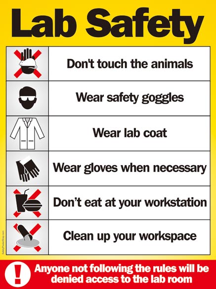 Lab Safety