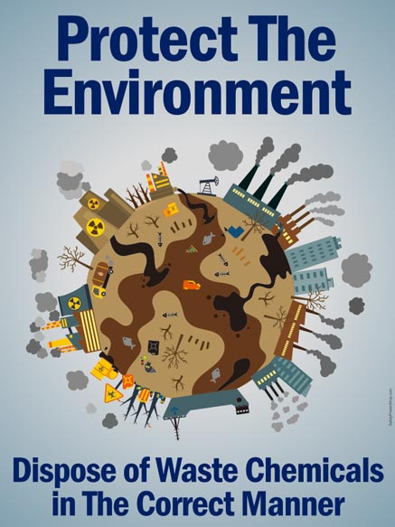 a term paper on environmental hazards