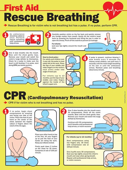 Rescue Breathing and CPR