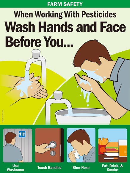 Wash Hands and Face